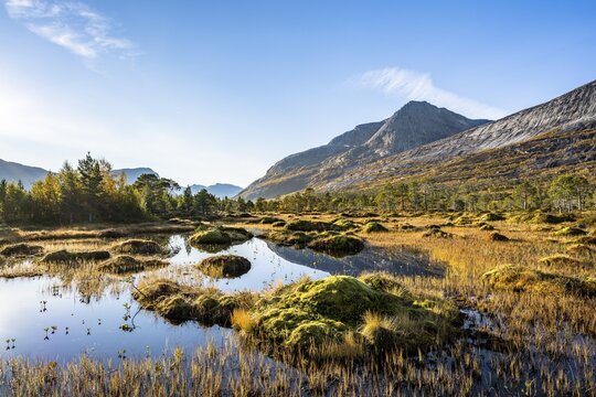 Small pond with bog landscape, Efjord, Tysfjord, Ofoten, Nordland, Norway