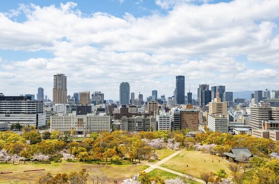 City view with skyscrapers and Osaka Castle Park with cherry blossoms, view from Osaka Castle, Chuō-ku, Osaka, Japan