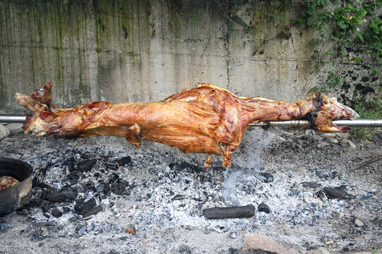 Whole lamb roasting on a spit over hot coals. A traditional Balkan culinary specialty. Succulent lamb meat turning on a spit above a wood fire.