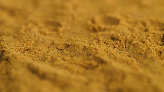 Turmeric root and turmeric powder close up, fresh curcuma rhizome with ground yellow spice and wooden spoon, indian ayurveda superfood ingredient