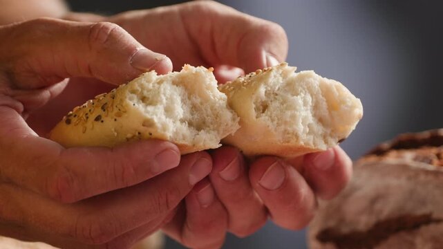 Baguette Bread torn apart by hand, fresh baguette crumb close-up macro shot showing soft airy texture