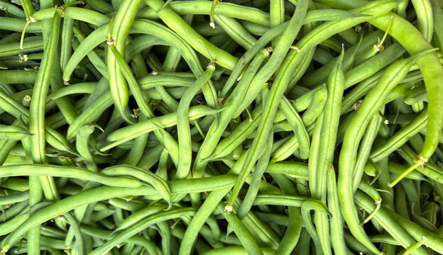 Fresh organic French green beans at a farmers market