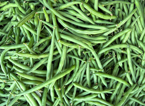 Fresh organic French green beans at a farmers market