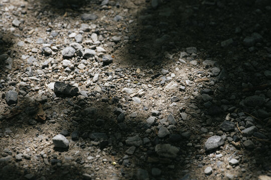 Sunlit gravel ground with soft tree shadows, Zurich, Switzerland