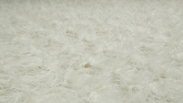 White fur texture with hand touching, close up of fluffy faux fur and natural sheepskin rug, soft long hair fur background in fur shop from Turkish fur factory production