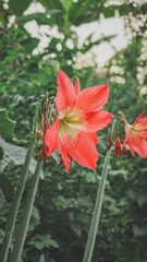 When your day isn't going well, come here and see me *flower* u © Hilim