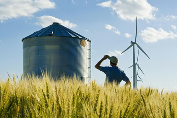  a man looks out over a maturing wheat field with a grain bin and wind turbines in the background,  near St. Leon, Manitoba, Canada © Dave