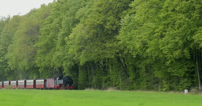 Molli steam train near Heiligendamm, Mecklenburg-Western Pomerania, Germany