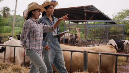 Two female dairy farmers discuss cattle management while walking beside livestock enclosure, pointing toward the herd and using a tablet for farm planning, teamwork, and daily agricultural operations. © Father_Studio
