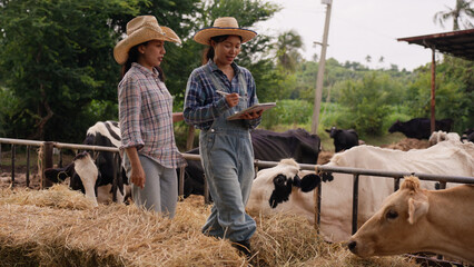 Two female farmers in straw hats inspect dairy cattle beside a feeding area, using a tablet to record livestock information and support daily farm management, teamwork, and agricultural productivity. © Father_Studio