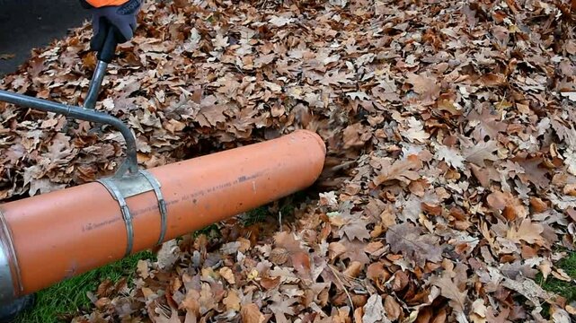 Wilty leaves are sucked off by gardeners, Hesse, Germany