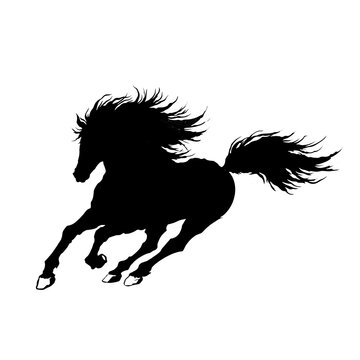 Symbol silhouette black horse vector illustration 