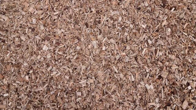 Close-up, wood chips, wood chippings, wood chips, shredded wood