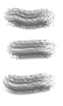 black and white paint splashes