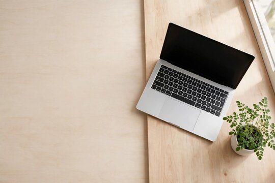 Minimalist modern workspace top view with laptop and moringa plant on wooden table with copy space
