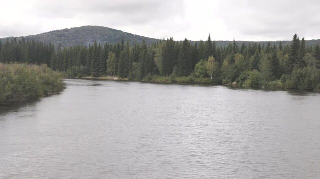 a downstream view of the chena river from a cruise boat at fairbanks, alaska of the usa