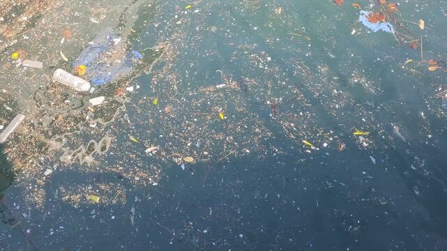 Floating garbage and plastic bottles polluting harbor water