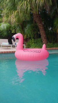 Vertical Screen: Pink inflatable flamingo float drifts on turquoise pool water with its reflection. Palm trees, lounge chairs with rolled towels and brick coping. Relaxing summer backyard vacation.