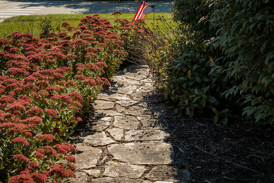 A stone garden flagstone path bordered by blooming pink sedum flowers with a small American flag near the street