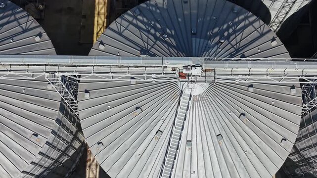 Metal grain silos stand at an industrial storage facility, with radial roof panels, access ladders, and support structures visible in daylight.