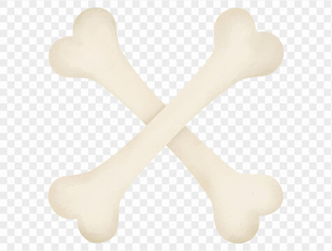 Pair of crossed cream colored bones with soft beige watercolor shading, simple spooky Halloween skeleton symbol and seasonal clipart Vector.