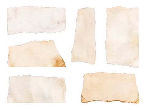 Torn beige paper pieces with rough edges and aged texture collection