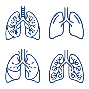 Set of human lung anatomical icons showing respiratory system structure and breathing process.