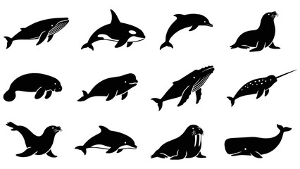 Sea Mammal Silhouette Collection with Whales Dolphins Seals and Walrus © Mike