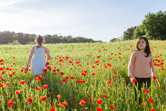 Young Sisters Spending Time Together in a Wildflower Meadow