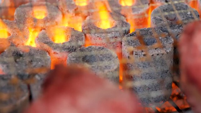 Barbecue overflowing with appetizing, succulent juices_04