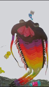 Giant Rainbow Trilobite Horseshoe Crab Kite Flying At Kite Festival Colorful Marine Creature Kite