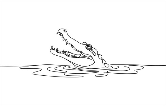 Continuous single line drawing of an alligator head with open mouth emerging from the water