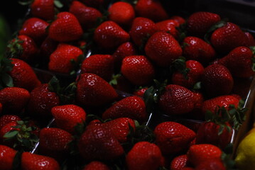 strawberries in the market © Rainbow7
