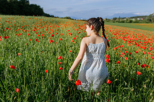 Rear View of a Young Girl in a White Floral Dress Walking Through a Red Poppy Field