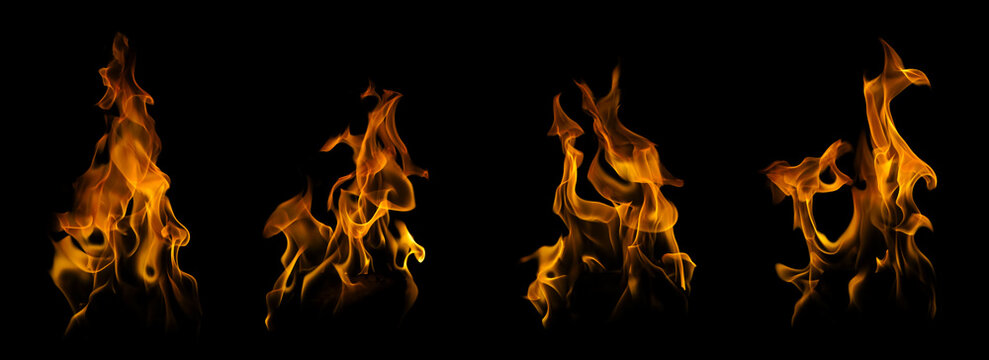 Collection of four realistic vertical fire flames isolated on a black background. Concept of abstract fiery element set, burning warmth, dynamic heat overlay, and blazing bonfire design.