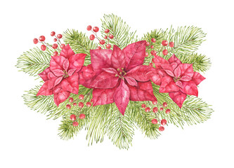 Christmas watercolor arrangement with red poinsettias, evergreen pine branches and clusters of small red berries. Ideal for Christmas cards, holiday greetings and festive seasonal illustrations. © Evgeniia
