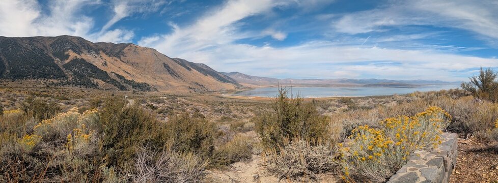 Mono Lake and blooming rabbitbrush in autumn, Eastern Sierra, California