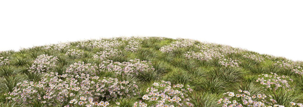 Nature flowers and grass field mound isolated transparent backgrounds 3d rendering png