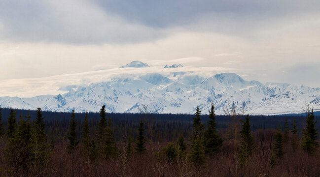 Mountains on the Denali Highway