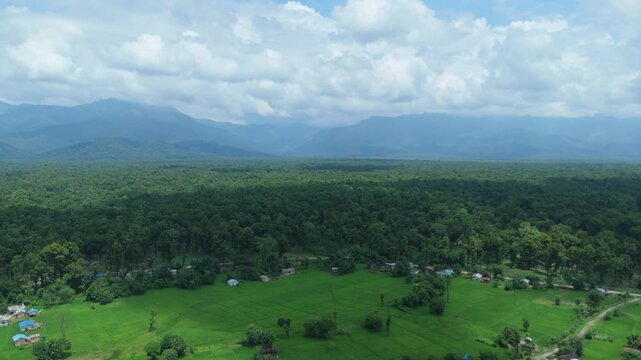 Aerial landscape of green rice fields and dense forest with mountain foothills under cloudy sky in Nepal