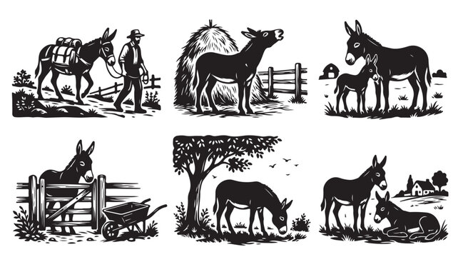 Vintage woodcut donkey illustrations, rustic farm animal vector set, black and white mule sketches for country lifestyle branding
