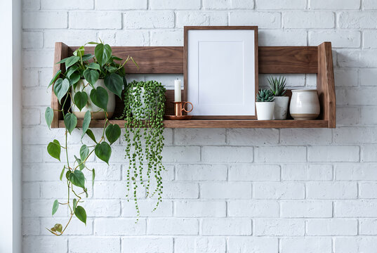 Walnut wall shelf with blank frame and trailing plants
