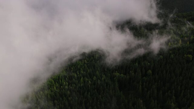 Foggy Clouds Engulfing Forest Mountain Slopes Of Giant Mountains National Park In Karpacz, Poland. Aerial Shot