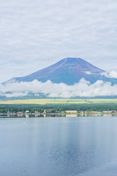 日本の風景｜山梨県・山中湖と富士山・長池親水公園付近から撮影・夏の富士山(8月)