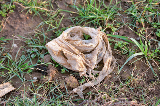 Plastic waste lying on grass representing environmental pollution and the global plastic problem