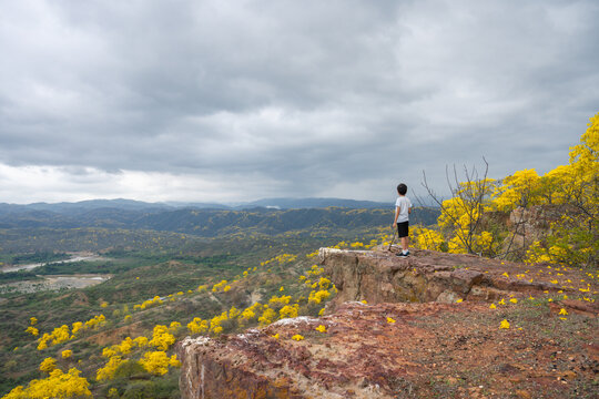 Boy standing on a rocky cliff overlooking a flowering mountain valley