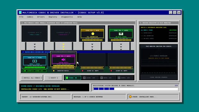 Software installation process showing multimedia codec and driver setup on computer screen
