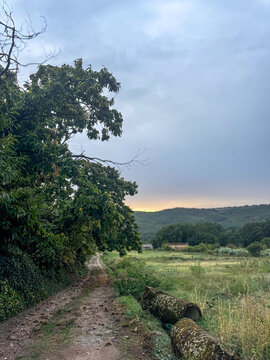 Sendero de tierra en el campo rodeado de &aacute;rboles y vegetaci&oacute;n con colinas boscosas bajo un cielo nublado