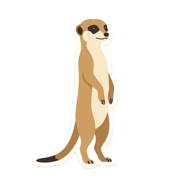 Standing meerkat illustration featuring tan fur and dark eye patches with white outline effect works well for wildlife education materials and zoo promotional media.