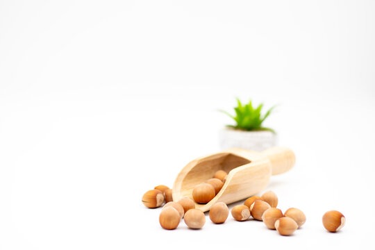 Hazelnuts spilling from a wooden scoop on a white background   